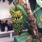 Fabulous Anjos Apartment