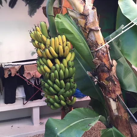 Fabulous Anjos アパート